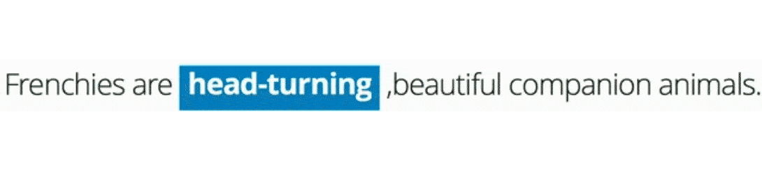Adjective1